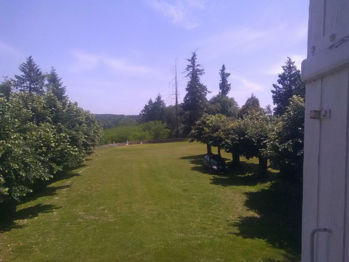 Pierre Deluen Domaine De La Grange De Quaire Panzió Chassenon Kültér fotó